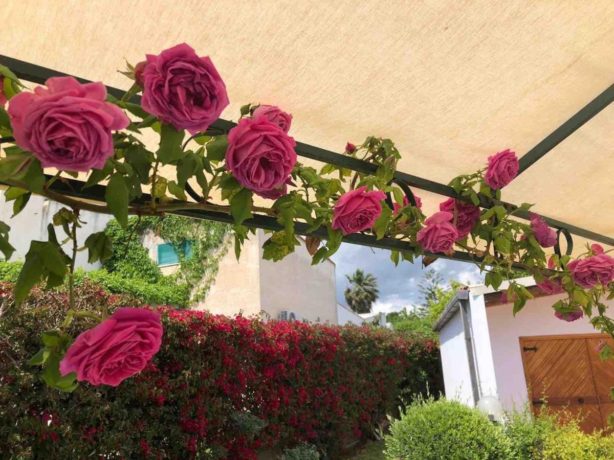 Le Tre Palme Villa Fontane Bianche Exteriör bild