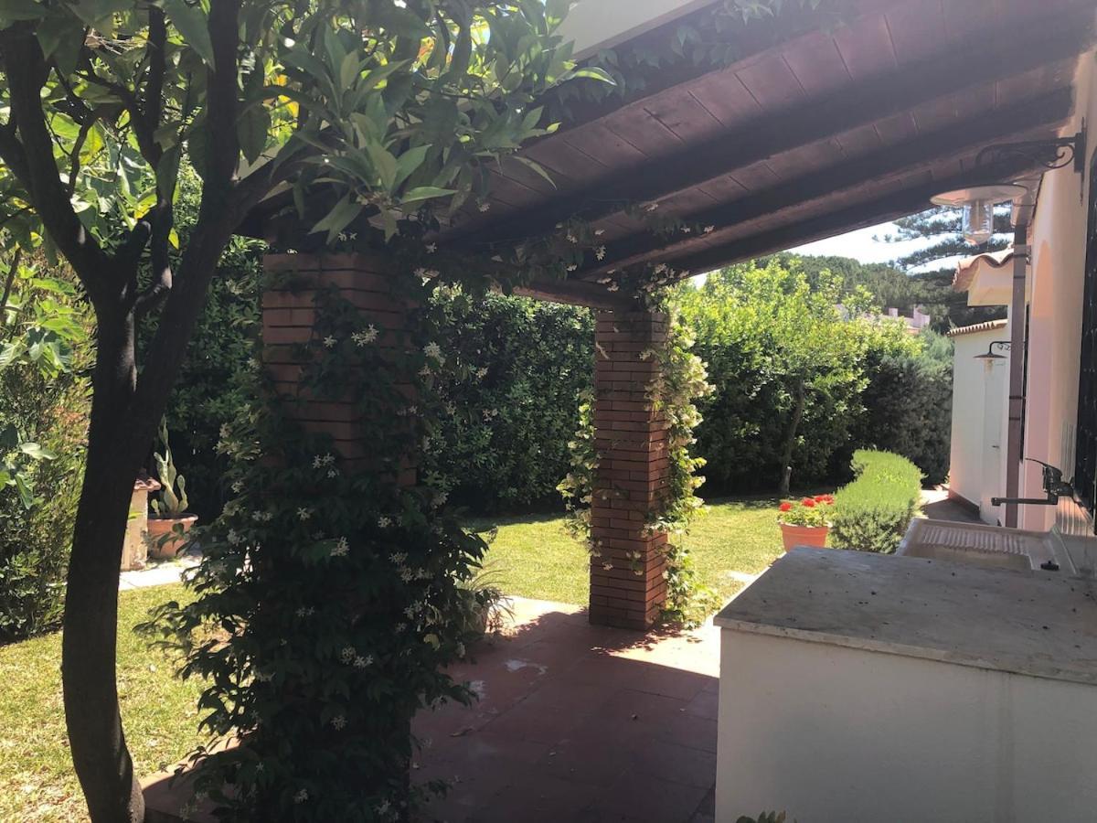 Le Tre Palme Villa Fontane Bianche Exteriör bild