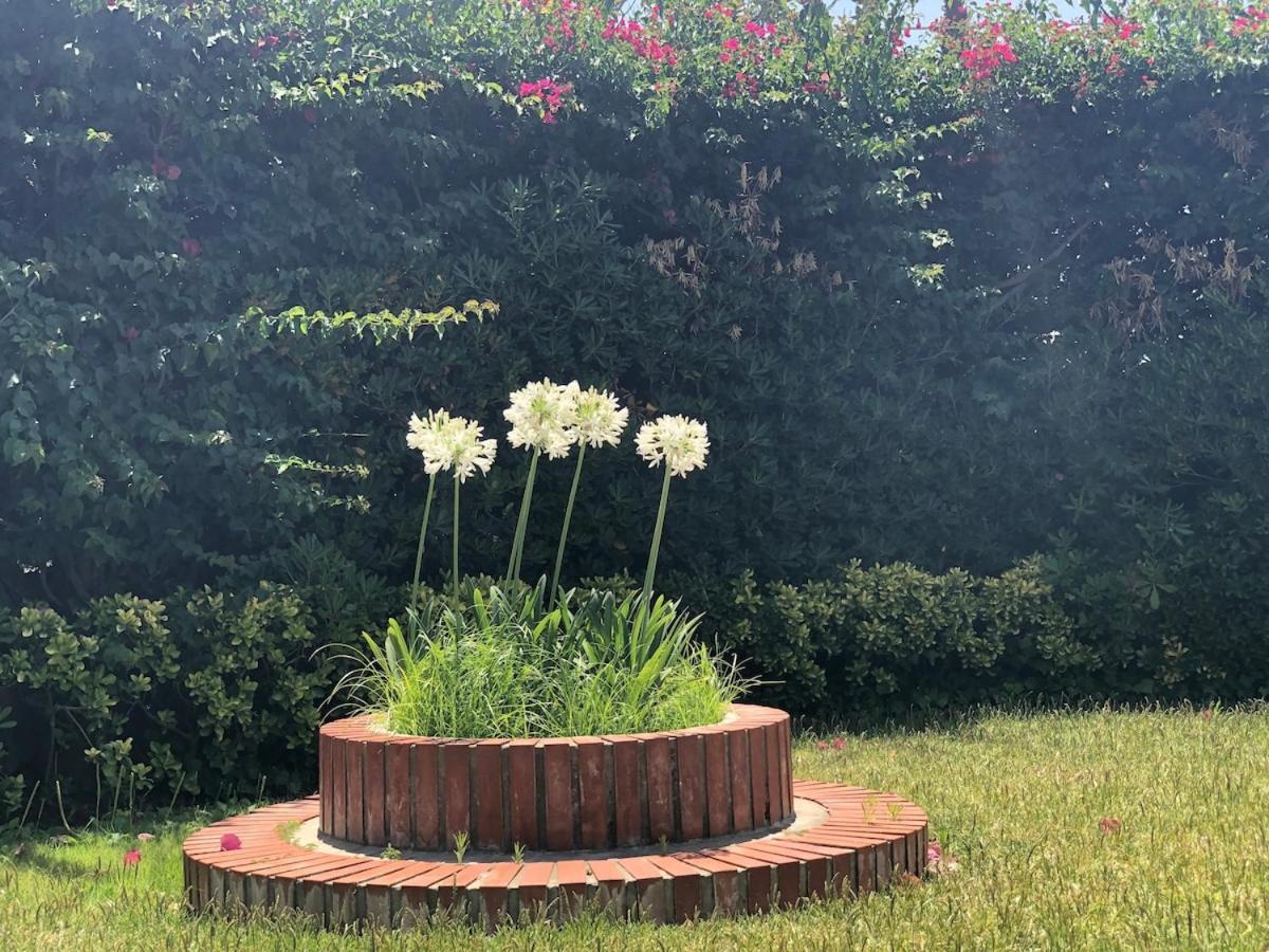 Le Tre Palme Villa Fontane Bianche Exteriör bild