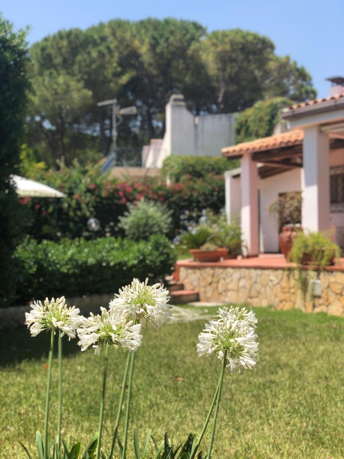 Le Tre Palme Villa Fontane Bianche Exteriör bild